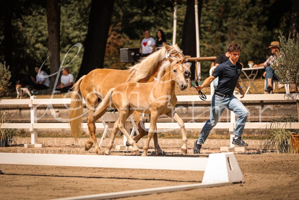 06.DoH00017 | Leoni Ertmer Photography - Realisiert mit Pictrs.com