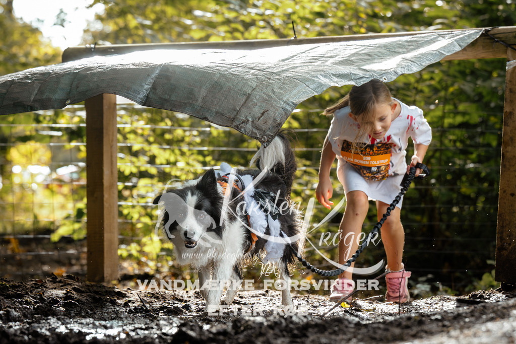 1459DZ6_4253Z6 | kk-dogfotos