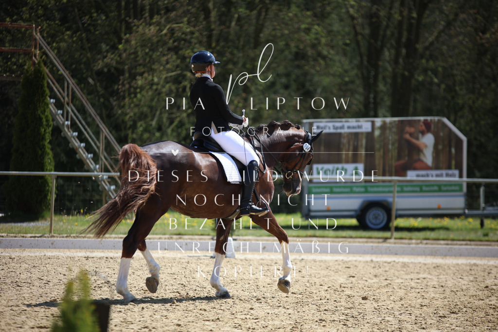 IMGT2565 | pl-fotografie