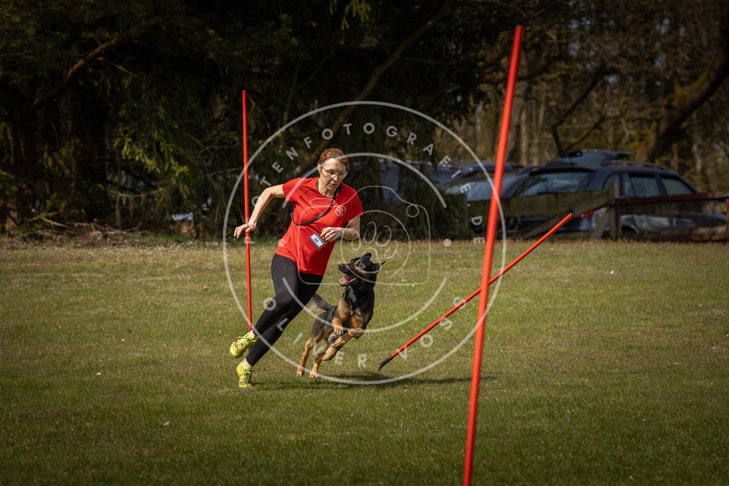 Pfotenfotografie_DV3A4884 | Hundefotografie, Tierfotograf, Pfotenfotografie, Fotoshooting Hund, Hunde Portrait, Hundesport, Hundeportraits, Heideshooting, Hunde, Sportfotograf, Hundefotograf, Turnierhundsport, THS,  - Realisiert mit Pictrs.com