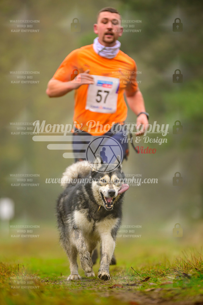 MompixPhotography_Bischwiller2025_Canicross-93 | mompixphotography