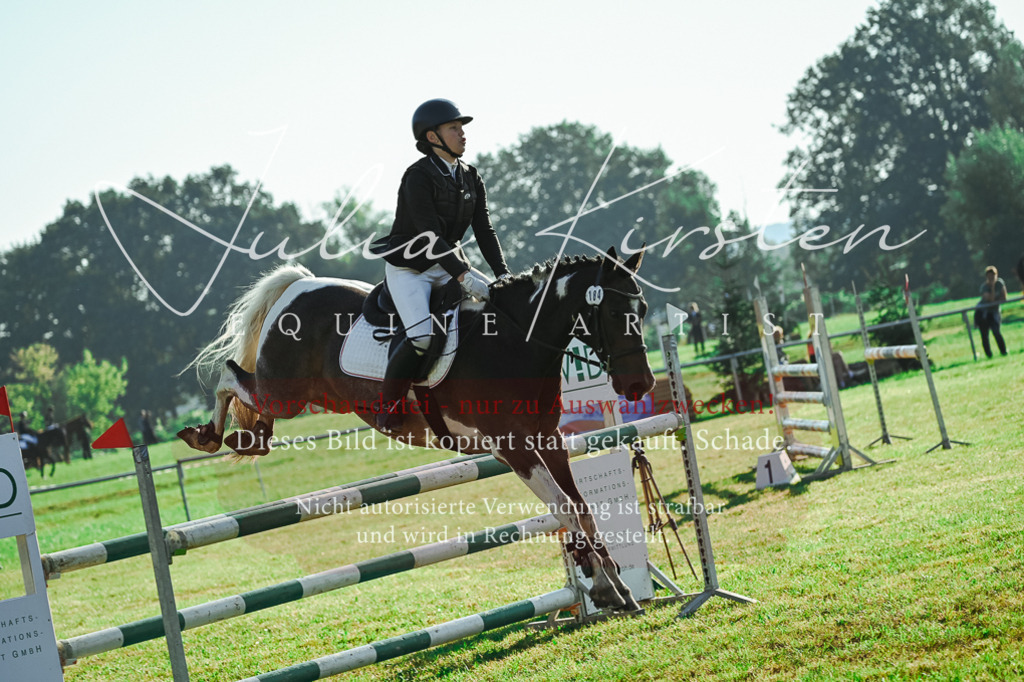 DSC_4499 | Pferde- und Turnierfotografie in Westsachsen. Pferdeportraits, Auftragszeichnungen und intuitive Kunst.