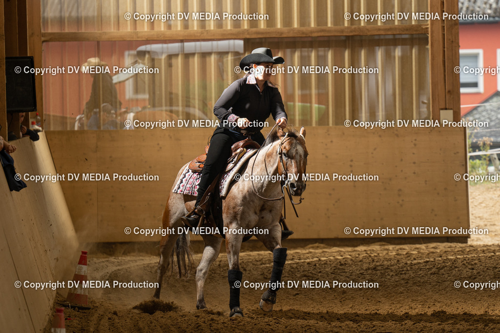 LAU00906 | dv-media-shop - Realisiert mit Pictrs.com