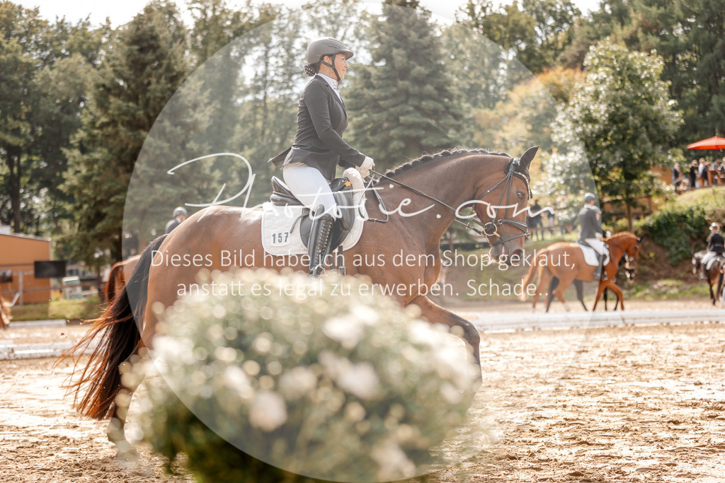 3I6A7198 | Stimmungsvolle Portraits und Reitsportfotografie im Ruhrgebiet und im Münsterland.

Pferdefotografie, Hundefotografie, Tierfotografie, Reportagen, Portraits von Tier und Mensch, Turnierfotografie in Bochum, Recklinghausen, Marl, Haltern am See, Dülmen.. - Realisiert mit Pictrs.com