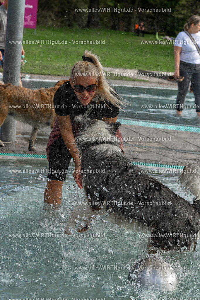 Hundeschwimmen_Volksbad_2026-allesWIRTHgut_Tierfotografie-2609061512-FAY07164 | Professionelle Tierfotografie in Mönchengladbach von Daniel Wirth (allesWIRTHgut). Liebevolle & natürliche Bilder von Hunden & Katzen für unvergessliche Erinnerungen.