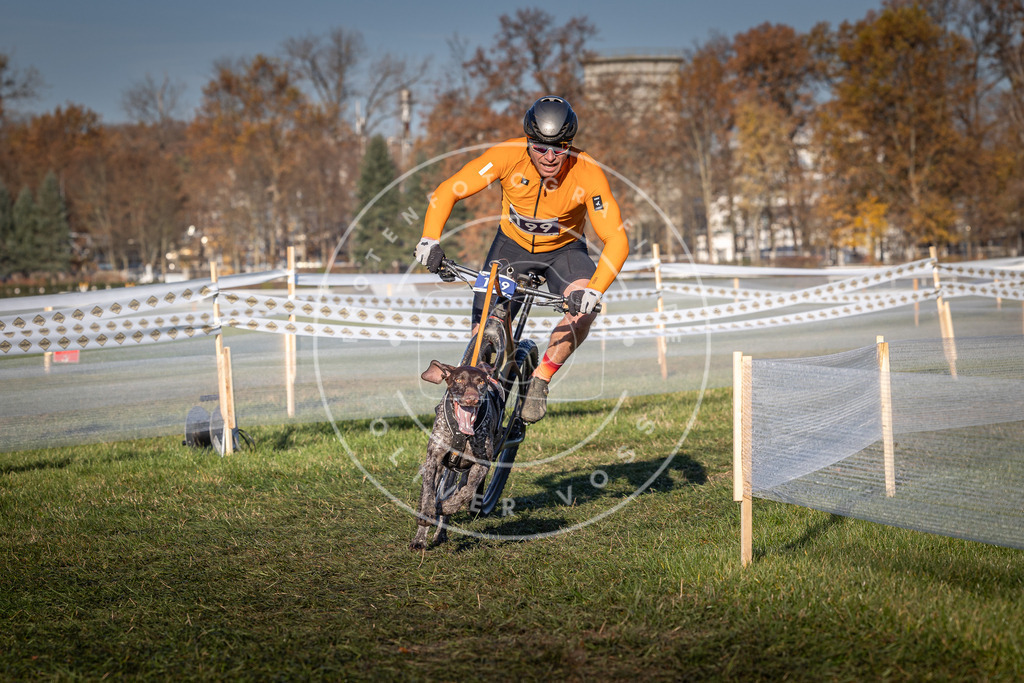 CaniXpix_0L8A4422 | Hundefotografie, Tierfotograf, Pfotenfotografie, Fotoshooting Hund, Hunde Portrait, Hundesport, Hundeportraits, Heideshooting, Hunde, Sportfotograf, Hundefotograf, Turnierhundsport, THS,  - Realisiert mit Pictrs.com