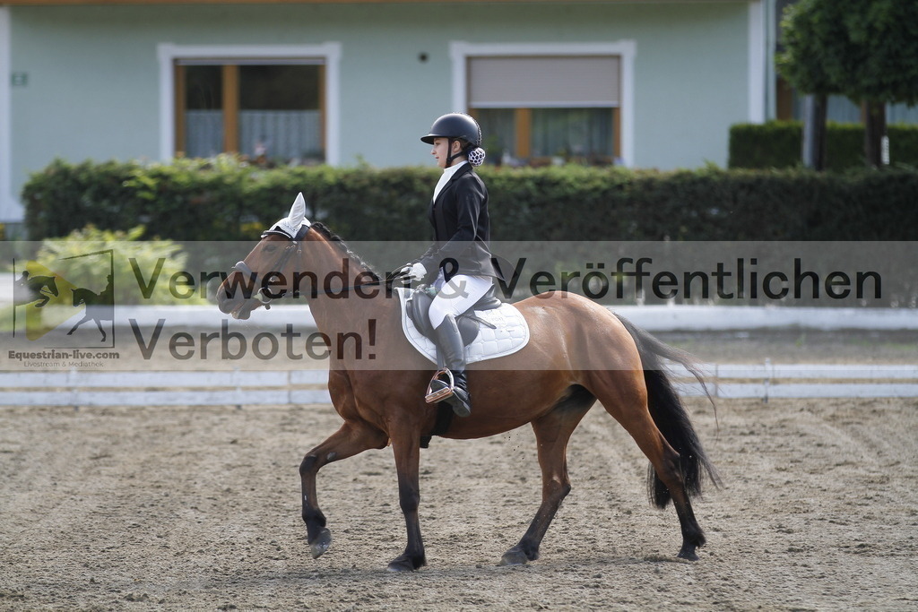 _MG_0702 | equestrian-live-com