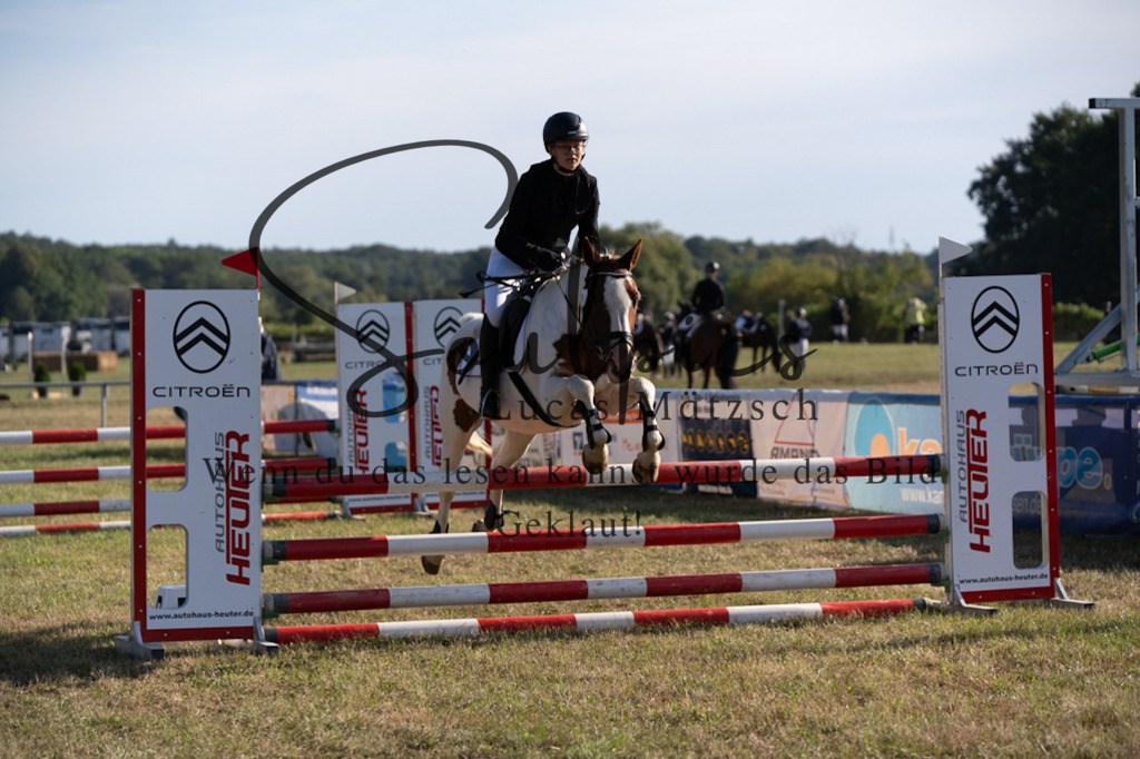 A7V08207 | Pferdefotograf