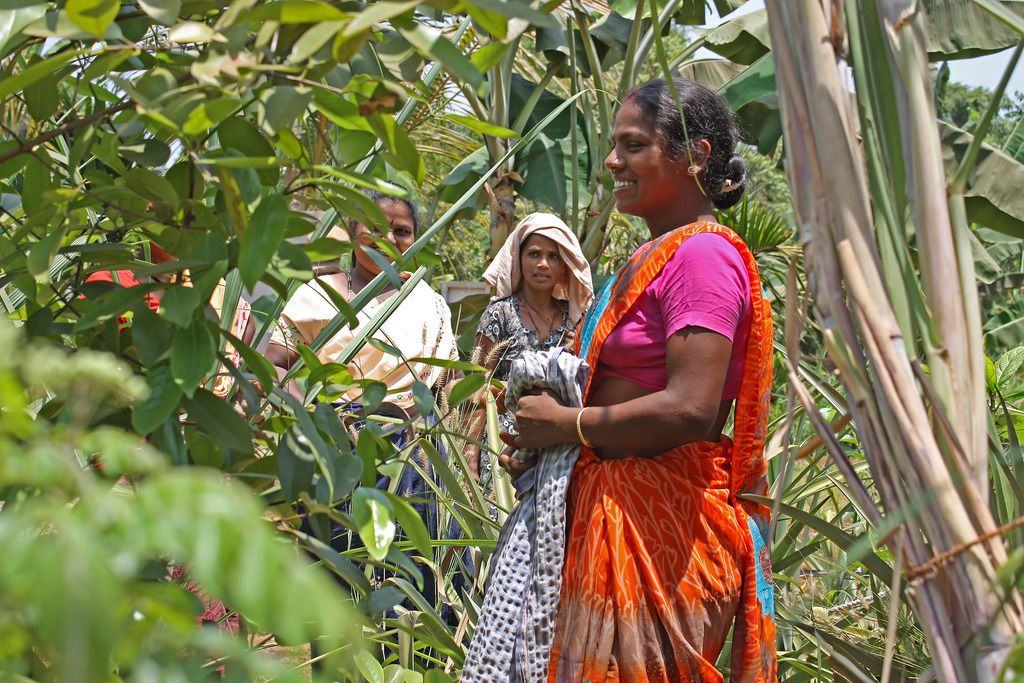 Goa 007a | ansichtssache