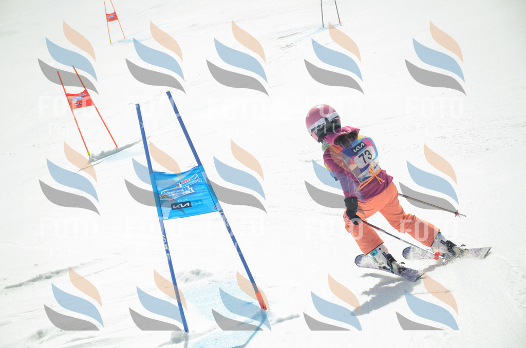 _ELE5466 | holidayphoto