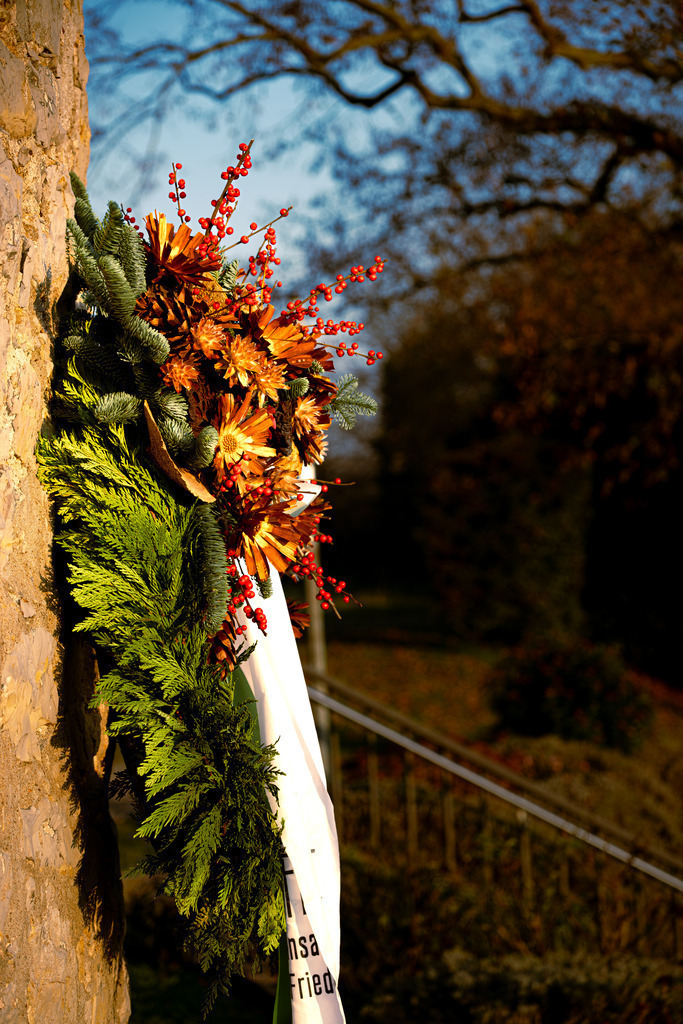 DSCF1369-7 | Tier- & Landschaftsfotografie und Porträtshootings. Entdecke einzigartige Fotokunst als Wandbild, Tasse oder Mauspad – mit Leidenschaft fotografiert - Realisiert mit Pictrs.com
