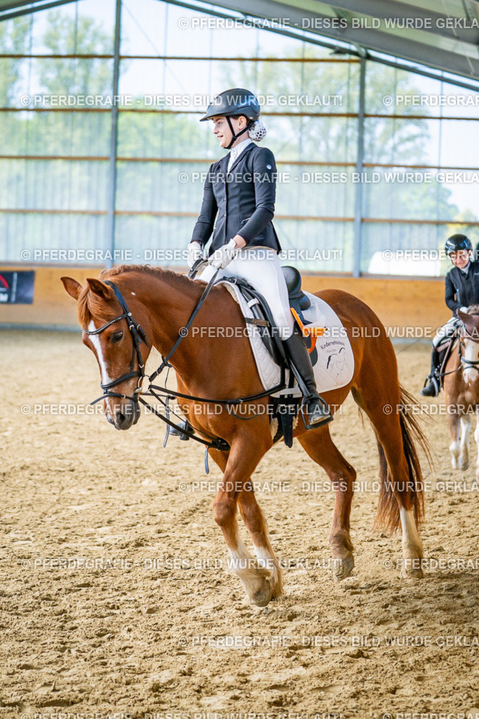 DSC03095 | Pferdegrafie