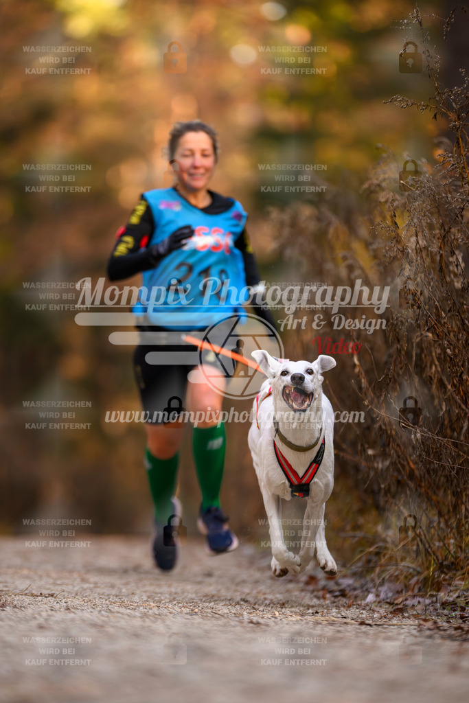 MompixPhotography_DM_AKDM_SO_2025_-52 | PayLife