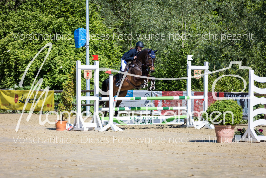 Donop24-A2Spr-048 | MomenTaufnahmen Pferdesportfotos