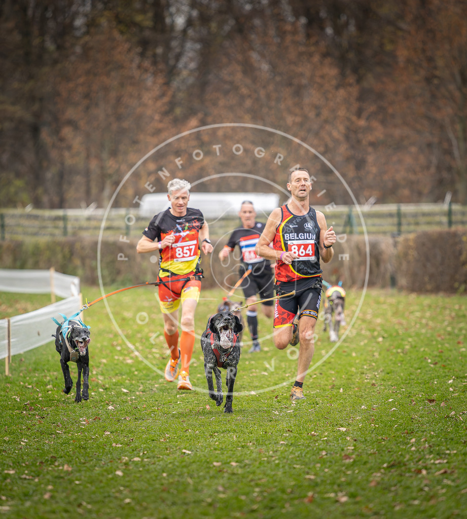 CaniXpix_DV3A6673 | Hundefotografie, Tierfotograf, Pfotenfotografie, Fotoshooting Hund, Hunde Portrait, Hundesport, Hundeportraits, Heideshooting, Hunde, Sportfotograf, Hundefotograf, Turnierhundsport, THS,  - Realisiert mit Pictrs.com