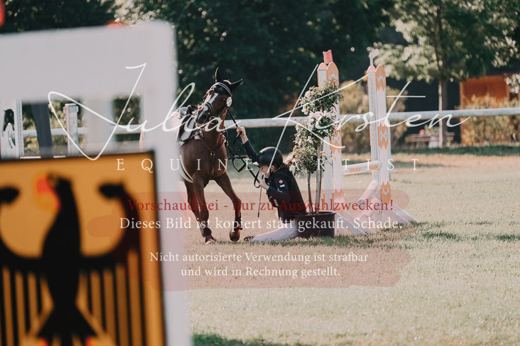 DSC_4454 | Pferde- und Turnierfotografie in Westsachsen. Pferdeportraits, Auftragszeichnungen und intuitive Kunst.