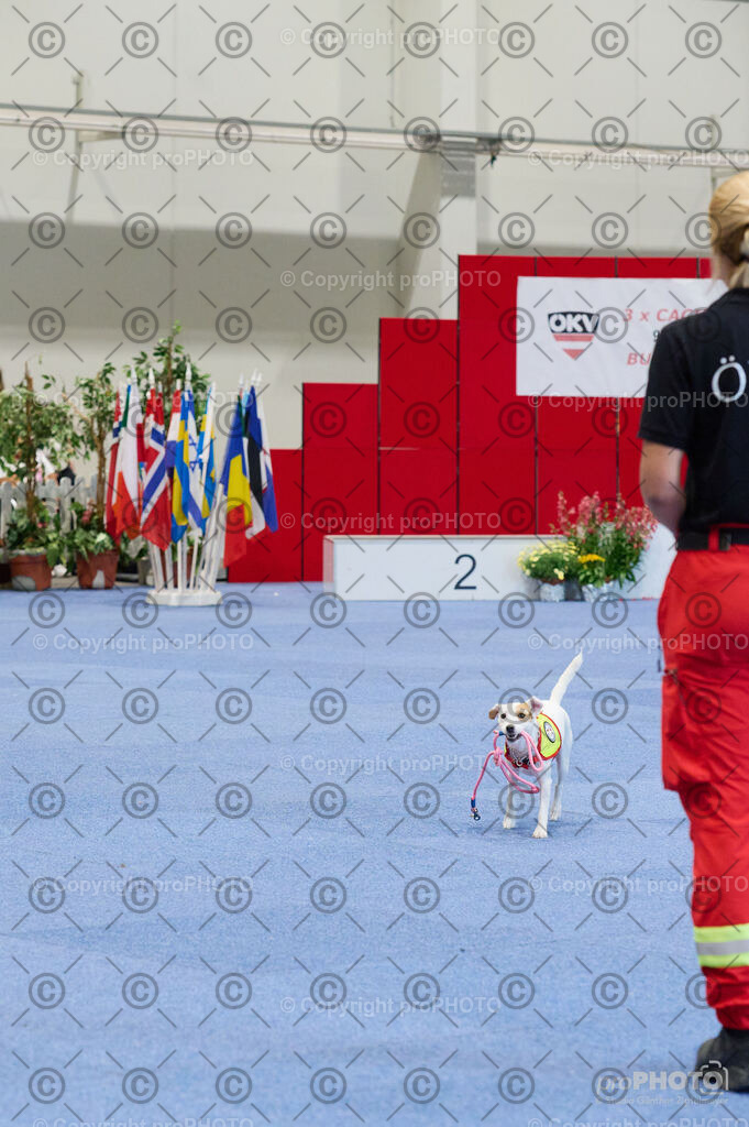 202406_ÖKV-IHA-Tulln24_DSC_4778 | proPHOTO - Realisiert mit Pictrs.com