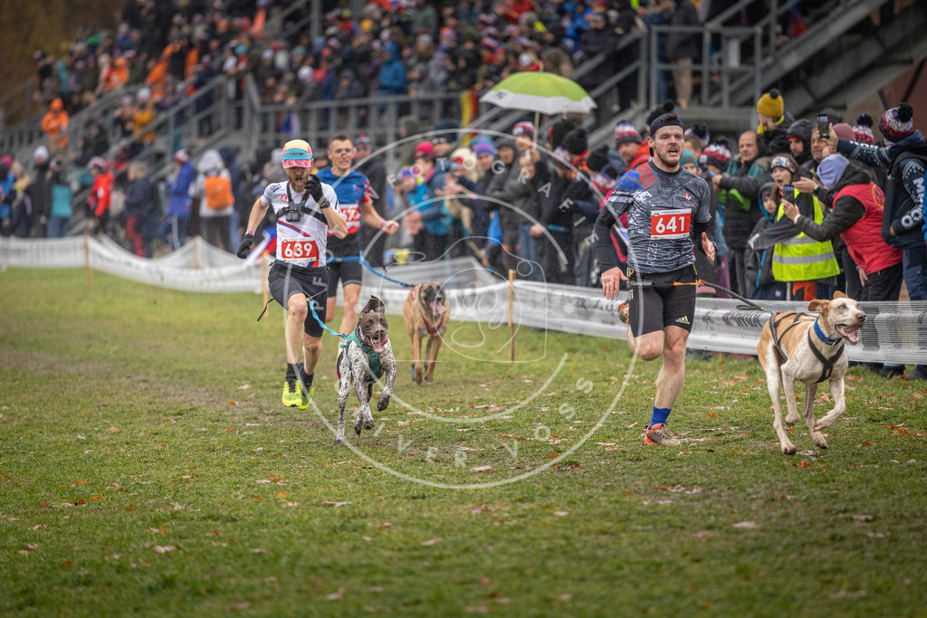 CaniXpix_DV3A9787 | Hundefotografie, Tierfotograf, Pfotenfotografie, Fotoshooting Hund, Hunde Portrait, Hundesport, Hundeportraits, Heideshooting, Hunde, Sportfotograf, Hundefotograf, Turnierhundsport, THS,  - Realisiert mit Pictrs.com