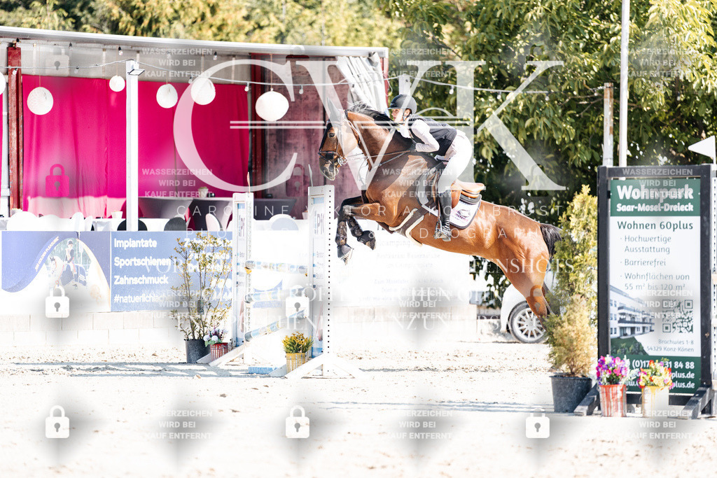 CK902216 | Turnierfotografie Pferdefotografie Trier Rheinland-Pfalz Pferdesport Reitsport Tierfotografie Sportfotografie Pferdevideo Pferdevideografie Equestrianvideography equestrianphotography  - Realisiert mit Pictrs.com