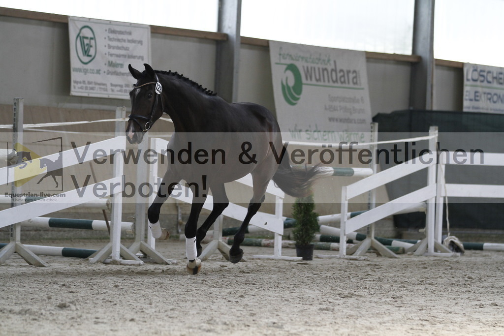_MG_9817 | equestrian-live-com