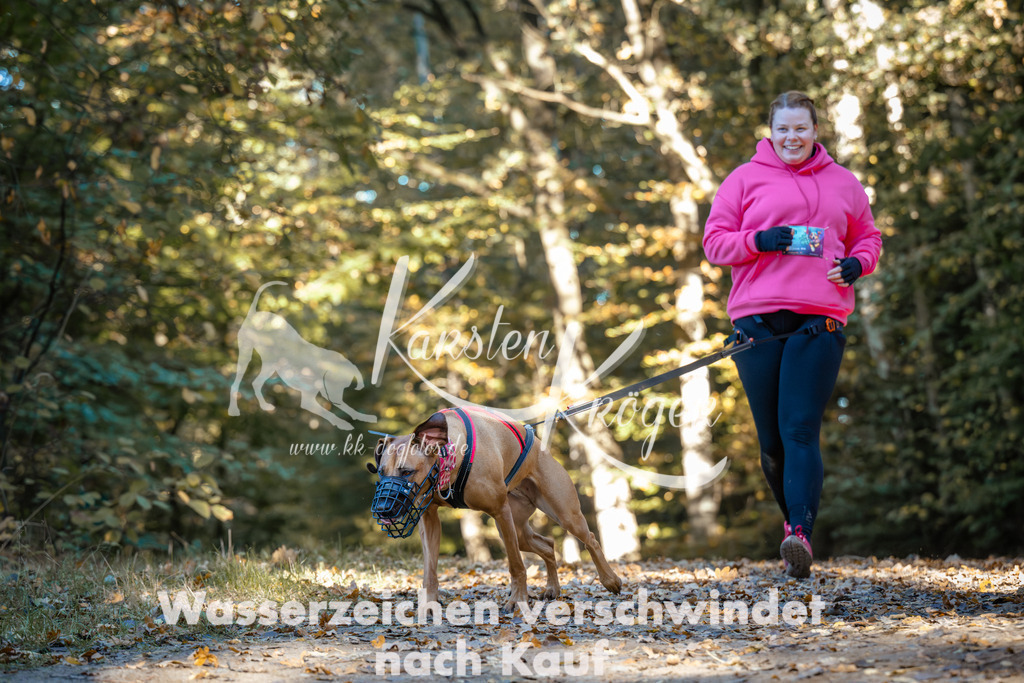 1009_ZZ99374 | kk-dogfotos
