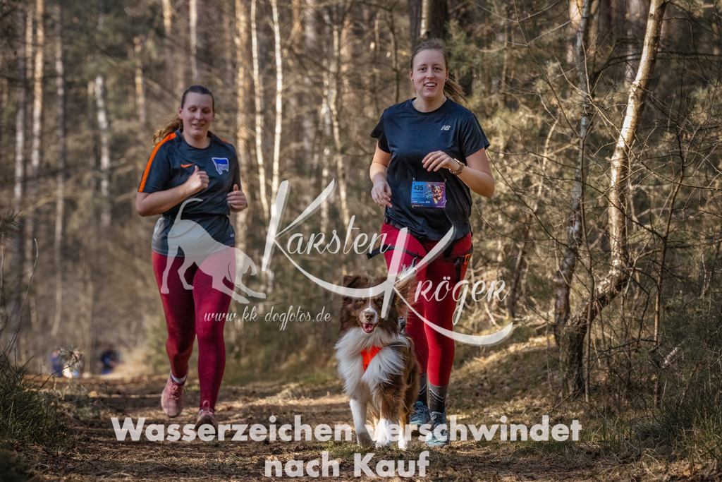 1224_ZZ93353-Bearbeitet | kk-dogfotos