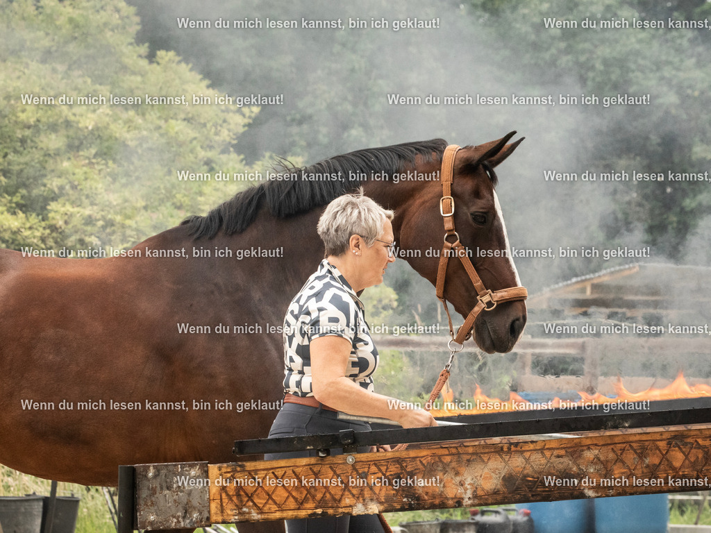 598A7818 | photographylinaismer - Realisiert mit Pictrs.com