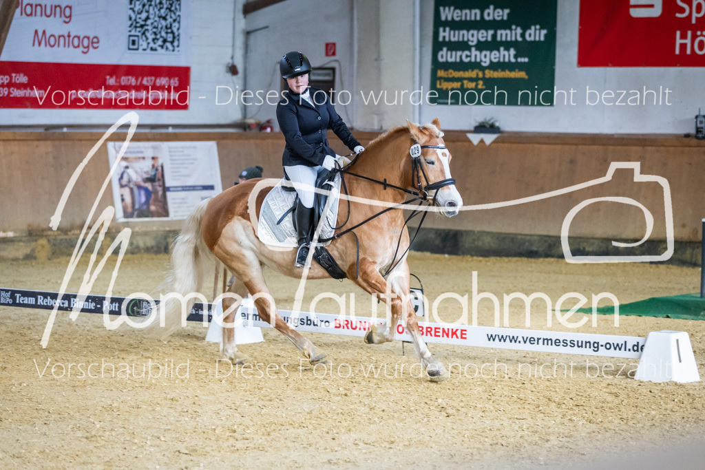 Sth-WBO25-DrR-156 | MomenTaufnahmen Pferdesportfotos