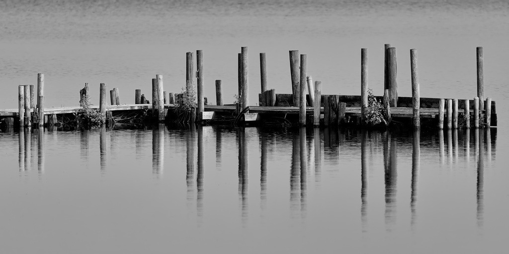 Holzpfähle im Wasser | kleinen-fotografie