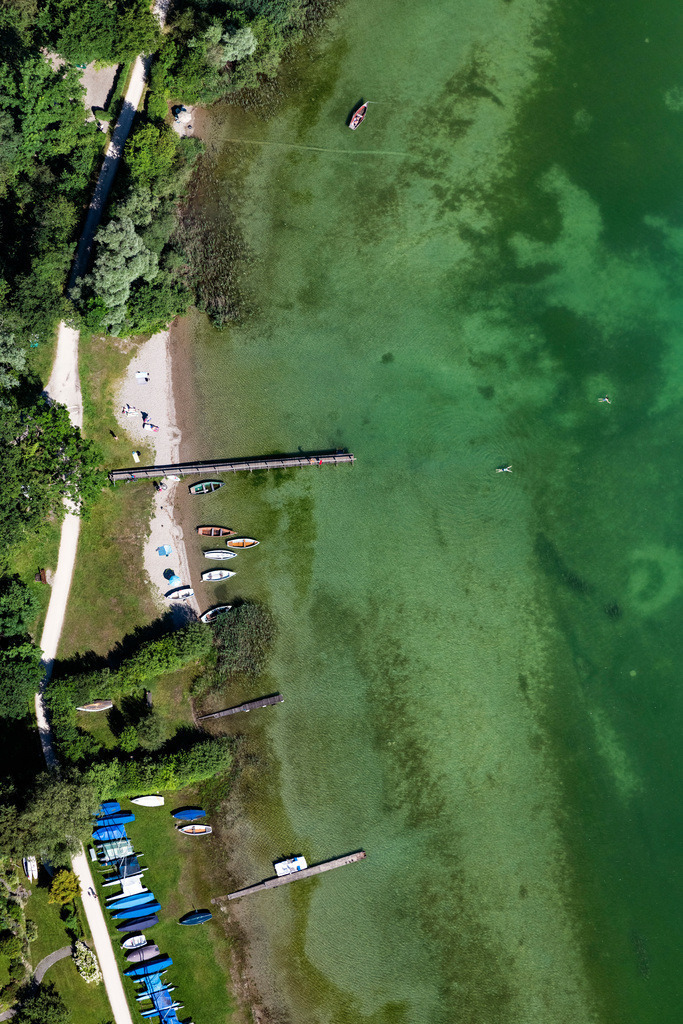 dr__0092739.jpg | BREITBRUNN AM CHIEMSEE 14.06.2022 Uferbereiche am Seegebiet des Chiemsee in der Kailbachbucht in Breitbrunn am Chiemsee im Bundesland Bayern, Deutschland. 