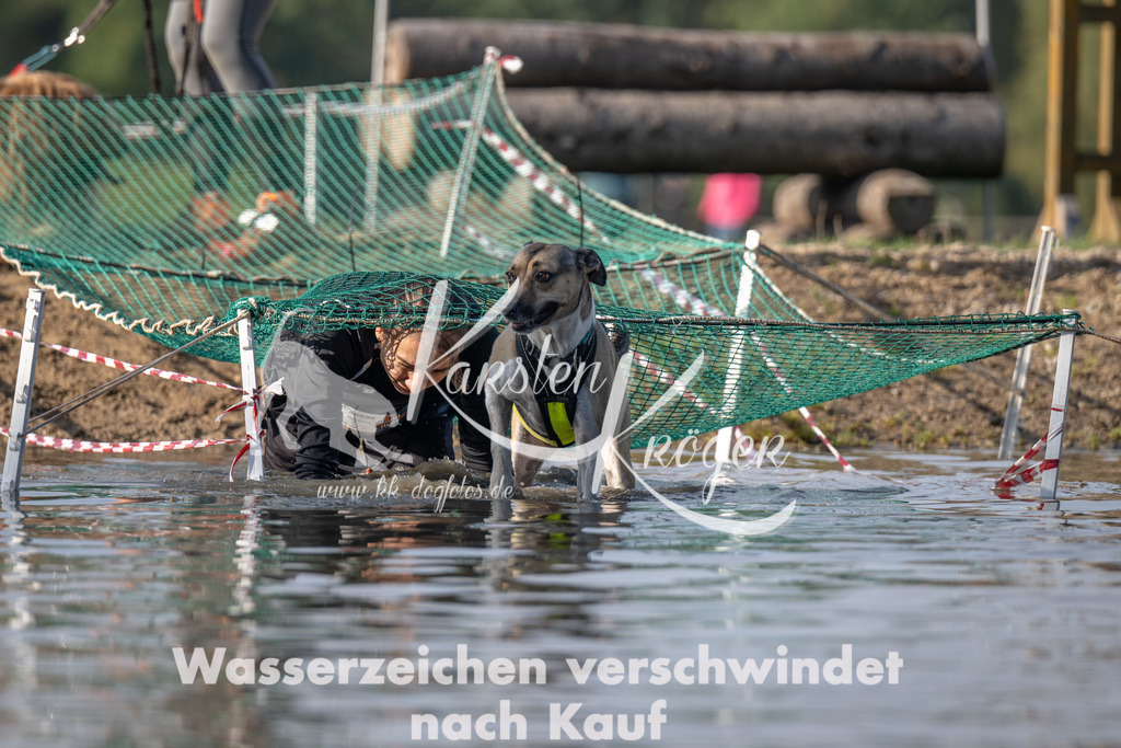 1038_ZZ94359 | kk-dogfotos