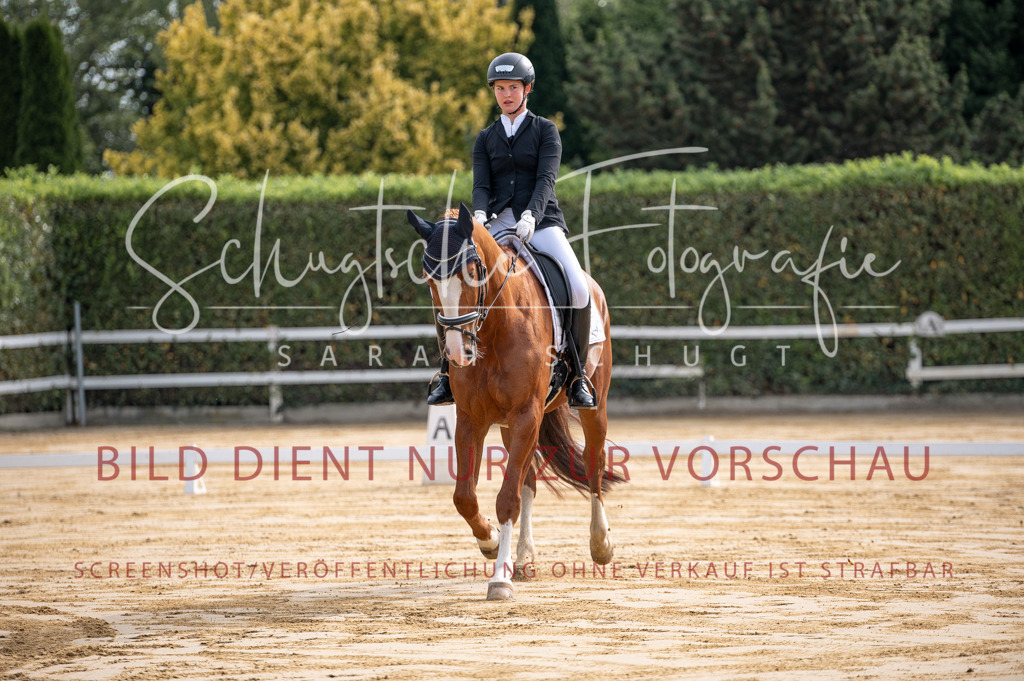 Schugtsche-Aluta25-40.DressurprfA_-15 | Schugtsche Fotografie - Realisiert mit Pictrs.com