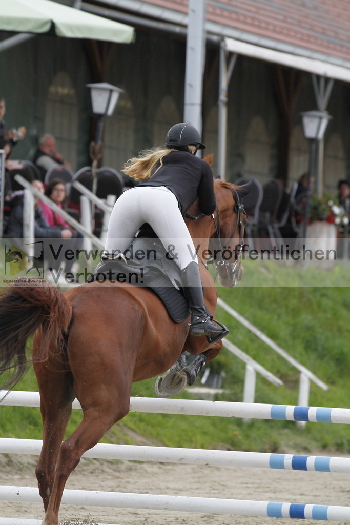 _MG_2968 | equestrian-live-com