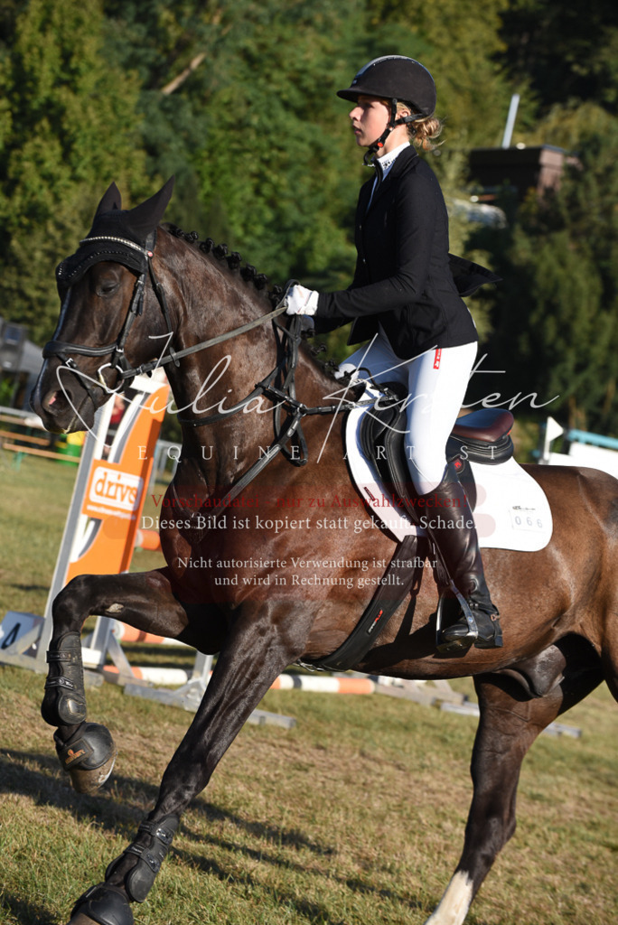 DSC_5026 | Pferde- und Turnierfotografie in Westsachsen. Pferdeportraits, Auftragszeichnungen und intuitive Kunst.