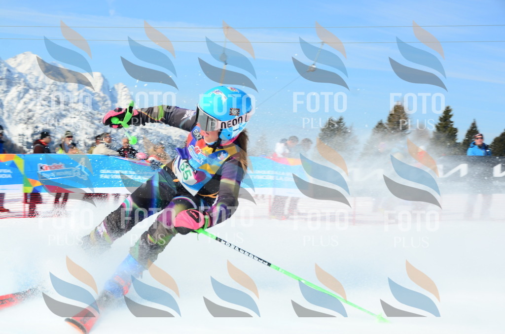 DSC_0362 | holidayphoto