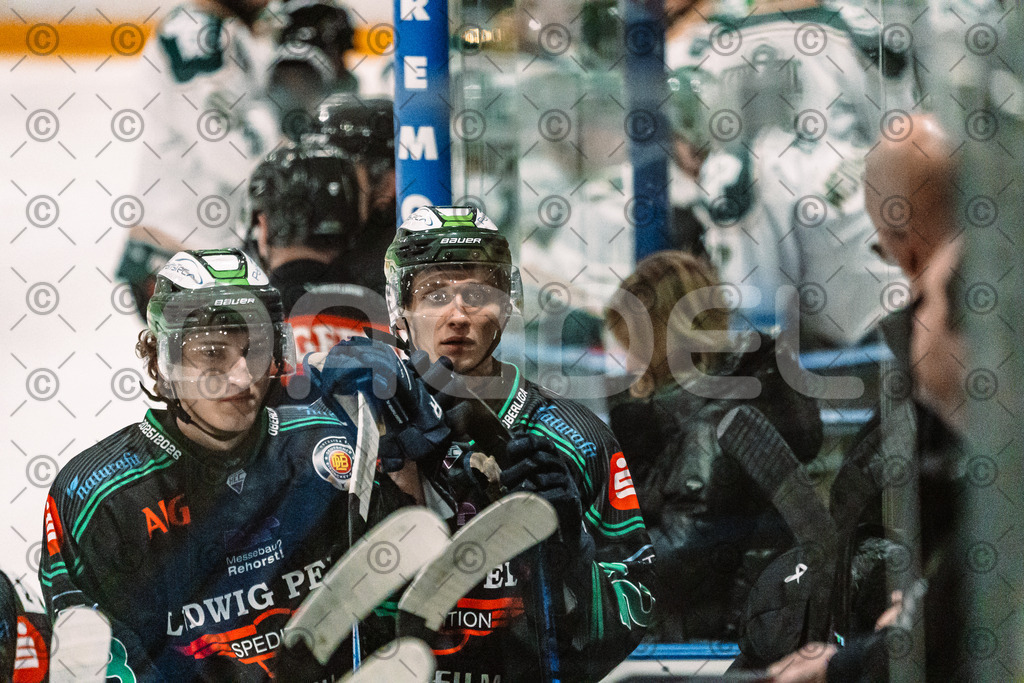 Alligators_vs_Erding_12_12_2025-069 | Höchstadt Alligators Fotogalerie: Eishockey-Action aus Franken. Professionelle Spielfotos, Portraits & Stadionbilder zum Download. Jetzt entdecken! - Realisiert mit Pictrs.com