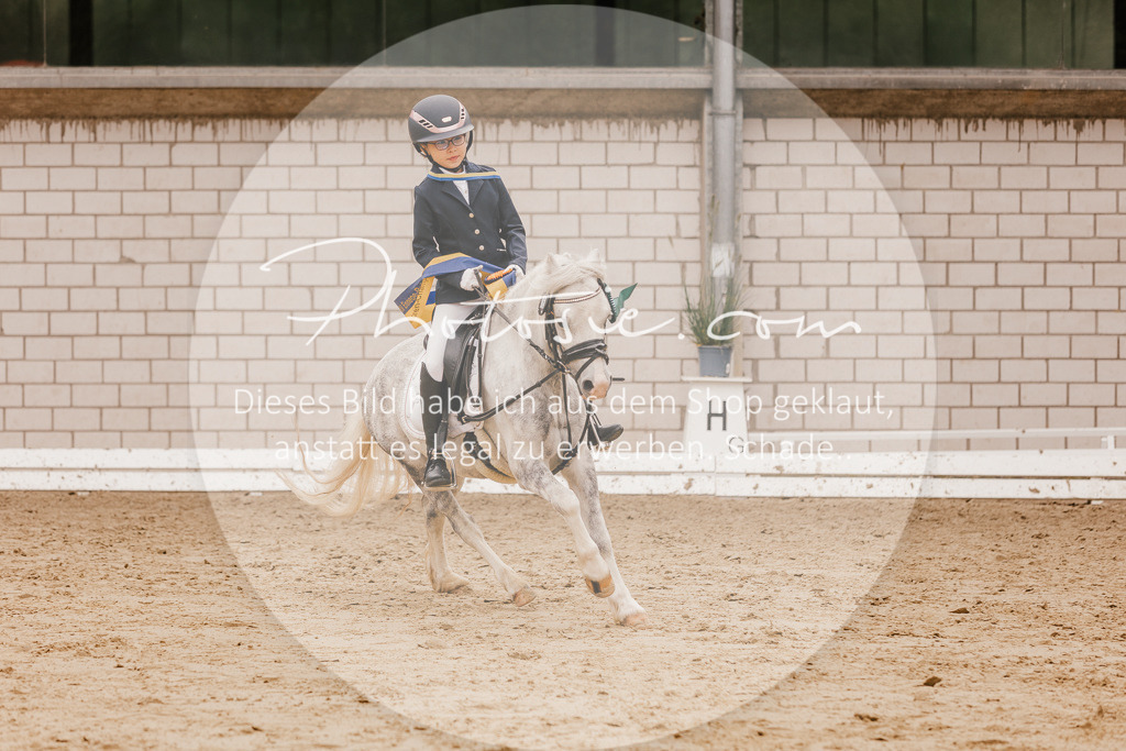 3I6A0014 | Stimmungsvolle Portraits und Reitsportfotografie im Ruhrgebiet und im Münsterland.

Pferdefotografie, Hundefotografie, Tierfotografie, Reportagen, Portraits von Tier und Mensch, Turnierfotografie in Bochum, Recklinghausen, Marl, Haltern am See, Dülmen.. - Realisiert mit Pictrs.com