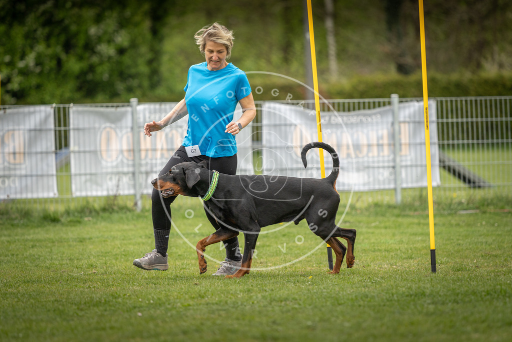 Pfotenfotografie_DV3A1774 | Hundefotografie, Tierfotograf, Pfotenfotografie, Fotoshooting Hund, Hunde Portrait, Hundesport, Hundeportraits, Heideshooting, Hunde, Sportfotograf, Hundefotograf, Turnierhundsport, THS,  - Realisiert mit Pictrs.com