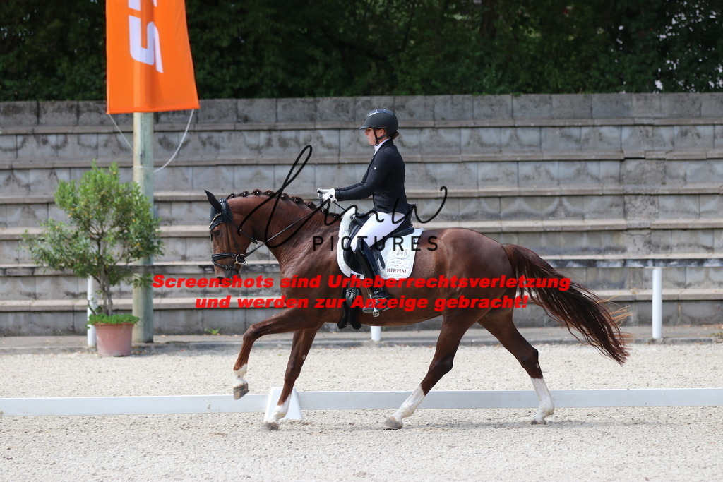 IMG_4370 | lmwpictures - Realisiert mit Pictrs.com