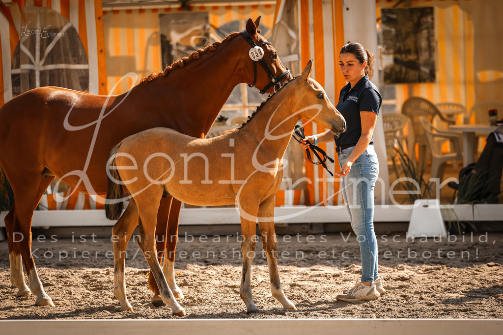 11.DoRP00136 | Leoni Ertmer Photography - Realisiert mit Pictrs.com