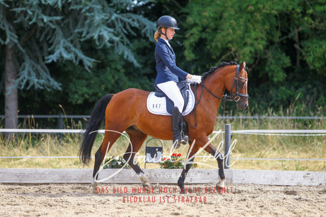 DKP46034 | Turniersportfotografie; Pferdefotografie; Dressurfotografie