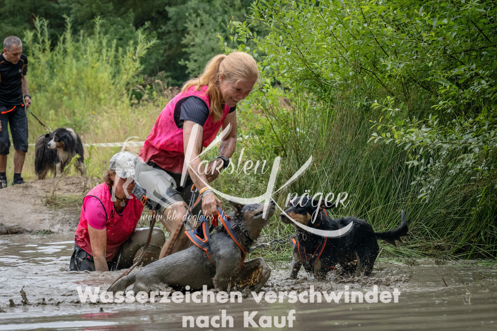 1340_ZZ91694 | kk-dogfotos