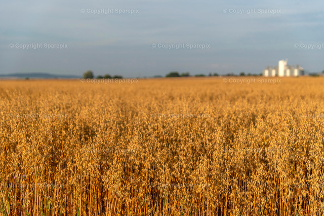 CRO_Grain_Silo6_Bokeh | sparepix - Realized with Pictrs.com