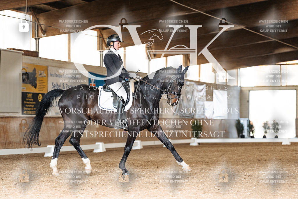 CK901831 | Turnierfotografie Pferdefotografie Trier Rheinland-Pfalz Pferdesport Reitsport Tierfotografie Sportfotografie Pferdevideo Pferdevideografie Equestrianvideography equestrianphotography  - Realisiert mit Pictrs.com