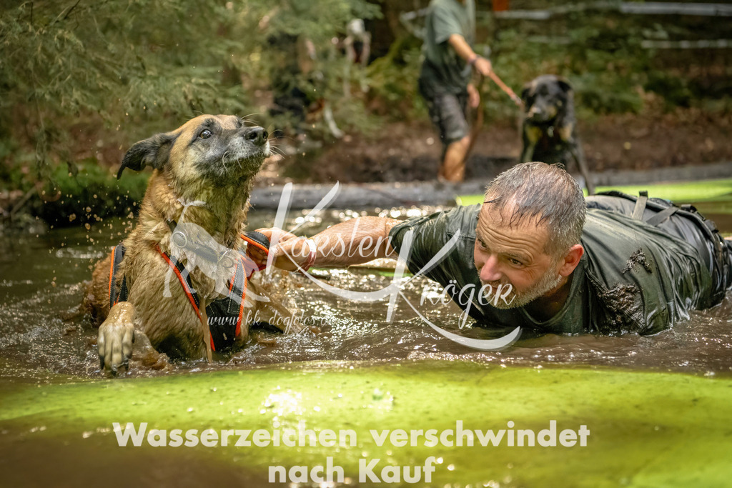 1409_ZZ91206-Bearbeitet | kk-dogfotos