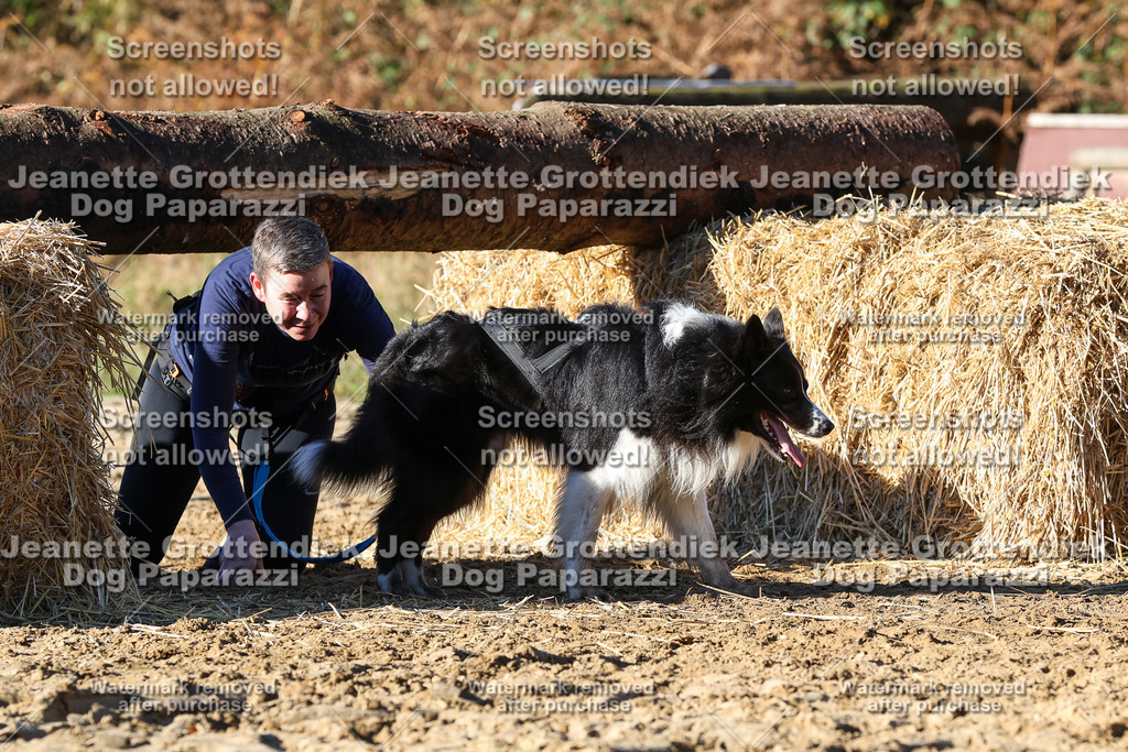 Dog Paparazzi - Strongdog 10-25-1857 | Dog Paparazzi Jeanette Grottendiek Fotografie & Videografie - Realisiert mit Pictrs.com