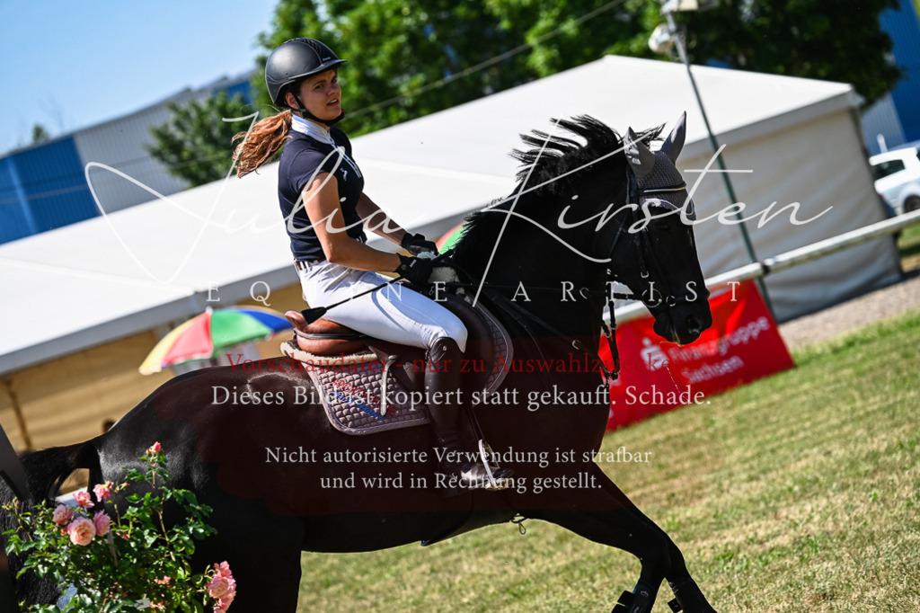 DSC_1033 | Pferde- und Turnierfotografie in Westsachsen. Pferdeportraits, Auftragszeichnungen und intuitive Kunst.