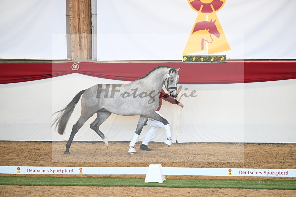 Kat.-Nr. 72 v. Johnson_Lehner_2250601 | hf-fotografie - Realisiert mit Pictrs.com
