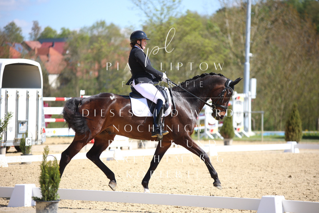 IMGT7504 | pl-fotografie