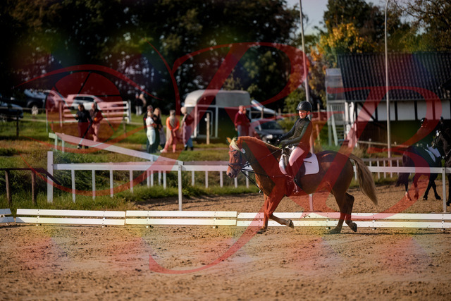 2026_10_03_Siefer-Hof_120145_Z63_34385694 | Professionelle Reitsport-, Turnier- und Eventfotografie von Robert Broda. Galerien mit ausgewählten und bearbeiteten Bildern direkt online ansehen und bestellen.